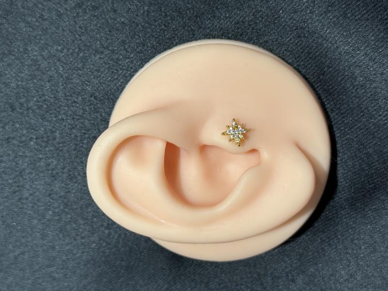 Hatice Ünlü Kutup Yıldızı Detay Gold Piercing
