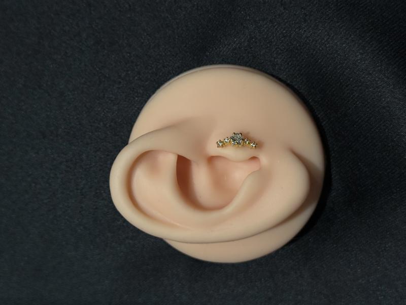 Hatice Ünlü Yıldız Uzanan Gold Piercing 