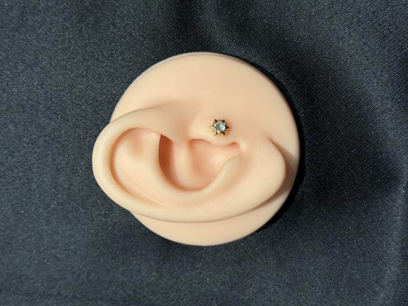 Hatice Ünlü İçi Taşlı Yıldız Gold Piercing