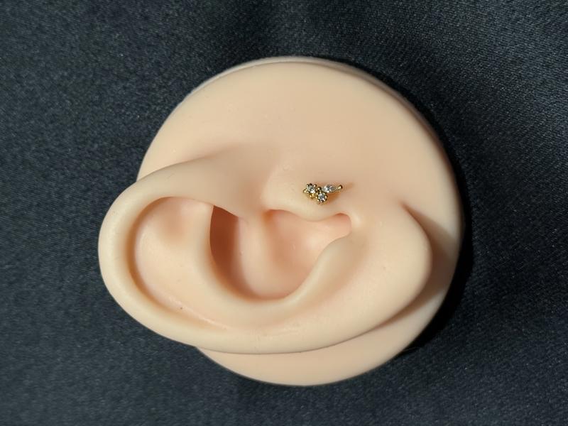 Hatice Ünlü Yıldızlı & Silindir Taşlı Gold Piercing