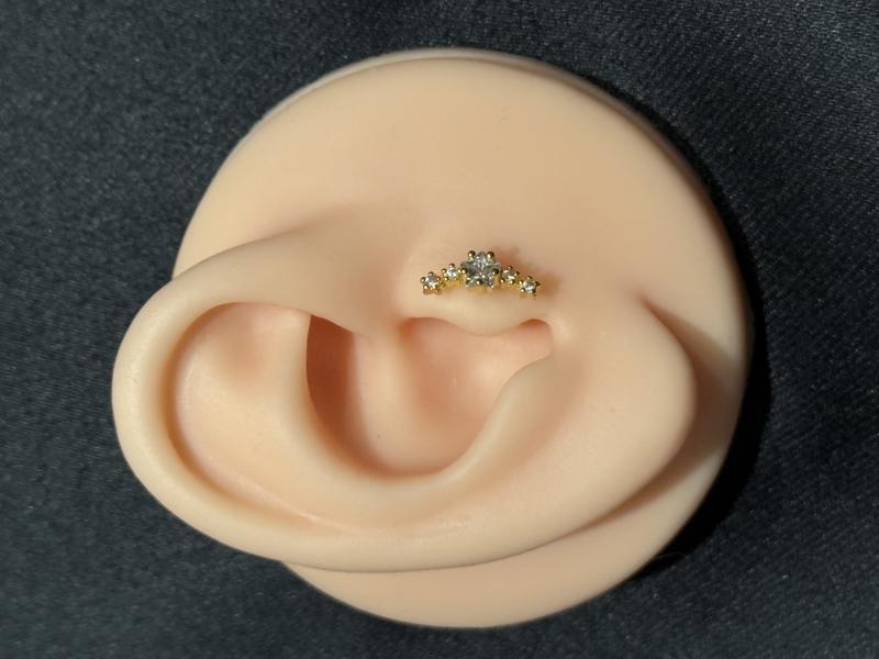 Hatice Ünlü Yıldızların Buluşması Gold Piercing