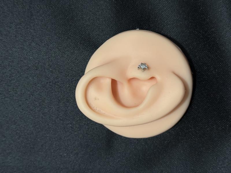 Hatice Ünlü Taç Model Üç Yaprak Silver Piercing