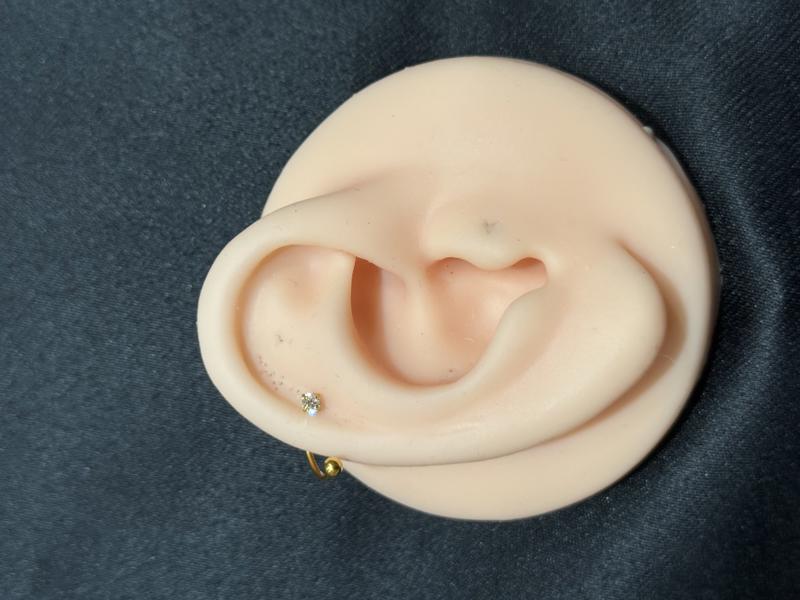 Hatice Ünlü İki Tarafı Toplu Model Halka Helix