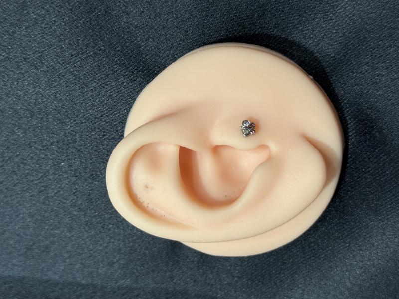 Hatice Ünlü Pembe & Mor & Sarı & Yeşil Kelebek Desen Piercing