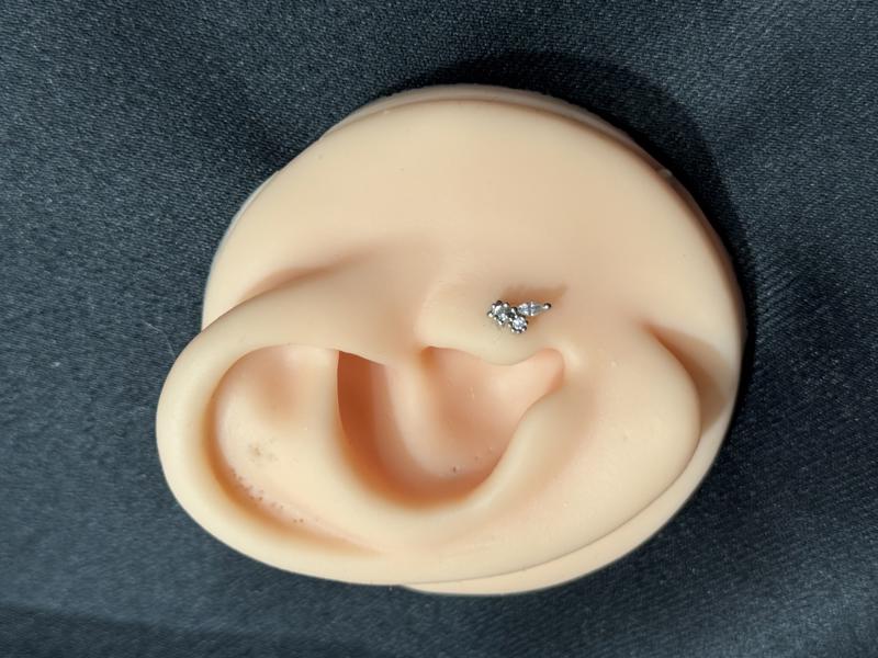 Hatice Ünlü Vazoda Çiçek Silver Piercing