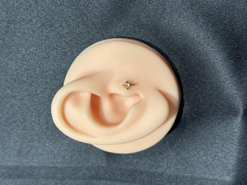 Hatice Ünlü Kutup Yıldızı Taşlı Gold Piercing